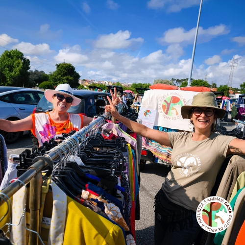 2025-07-19 | 8º Flea Market